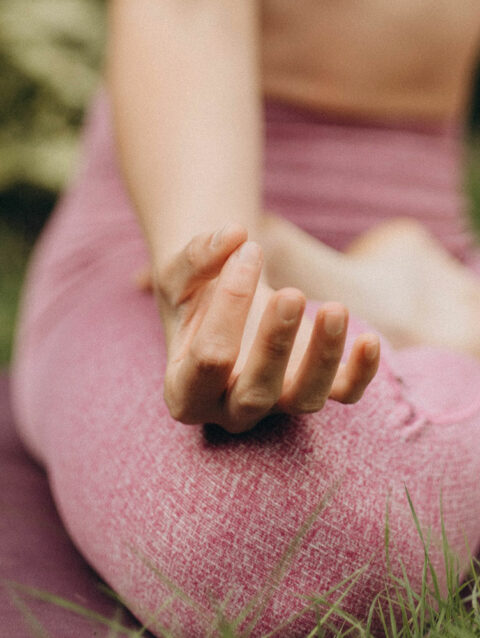 Yoga en Casa ( Seciónes Individuales)